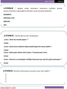 2. Sınıf Türkçe Dersi Sağlık ve Çevre Teması Deniz Kızı Alternatif Çalışma Sayfaları - 1