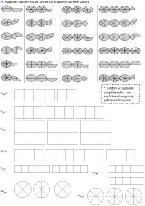 Tam Sayılı Kesirler
