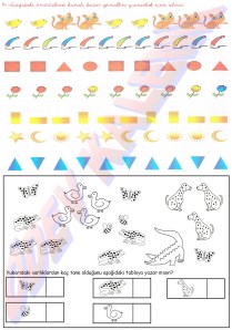 1. Sinif Matematik Dersi Oruntunun Kurali