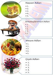 3. Sinif Turkce Dersi isimler Calisma Kagidi