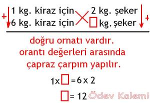 5. Sinif Matematik Dersi Cozumlu Oran Oranti Problemleri - 02
