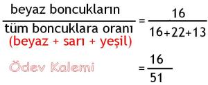 5. Sinif Matematik Dersi Cozumlu Oran Oranti Problemleri - 03