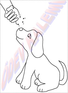 Sayilari Birlestir Boya 1. Sinif Sanatsal Etkinlikler Dersi - 26