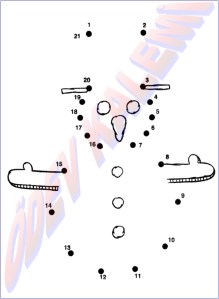 Sayilari Birlestir Boya 1. Sinif Sanatsal Etkinlikler Dersi - 27