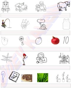 Varliklarin Adlarini Yazma 1. Sinif Turkce Dersi Okuma Yazma Etkinlikleri