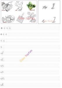 I Sesi Sezdirme 3. Grup Harfler 1. Sinif Turkce Dersi Okuma Yazma Etkinlikleri - 01