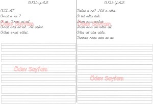 o sesi Cumle - Metin 2. Grup Harfler 1. sinif Turkce Dersi Okuma Yazma Etkinlikleri