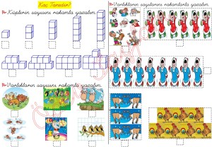Kac Tanedir 1. Sinif Matematik Dersi Ogrenci Calisma Kitabi Alternatif Etkinlikler