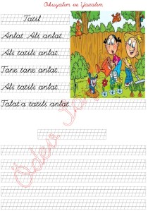 n sesini ogreniyorum okuma ve yazma calismasi 2. Grup harfler 1. Sinif Turkce Dersi  - 01