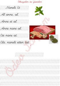 n sesini ogreniyorum okuma ve yazma calismasi 2. Grup harfler 1. Sinif Turkce Dersi - 04