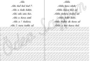 abi-abla-2-grup-metinler-2-gru-sesler-1-sinif-okuma-yazma-ogreniyorum