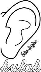 kulak