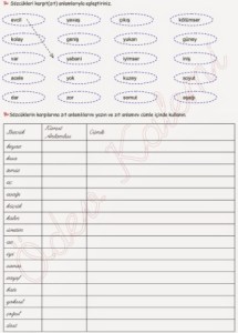 3-sinif-turkce-dersi-zit-anlamli-socukler