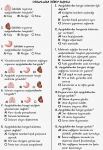 organlarimiz-ve-gorevleri-test