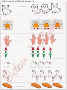 tekil-cogul-etkinligi-2-sinif-turkce-dersi-01