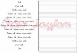 ozlem-ile-arzu-4-grupn-z-sesi-okuma-metni-1-sinif-okuma-yazma-ogreniyorum